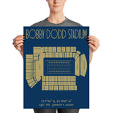 Georgia Tech Football Bobby Dodd Stadium Poster Print - Stadium Prints