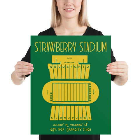 Southeastern Louisiana University Football Strawberry Stadium - Stadium Prints