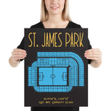 Newcastle St. James Park Stadium Poster Print - Stadium Prints