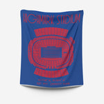 Pro Football Stadium Fleece Blankets - Stadium Prints