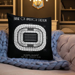 Carolina Panthers Football Stadium & City Pillows - Stadium Prints