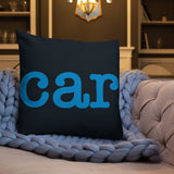 Carolina Panthers Football Stadium & City Pillows - Stadium Prints