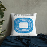 Carolina Panthers Football Stadium & City Pillows - Stadium Prints