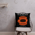 Cincinnati Bengals Football Stadium & City Pillows - Stadium Prints