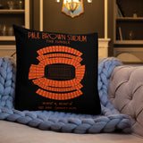 Cincinnati Bengals Football Stadium & City Pillows - Stadium Prints