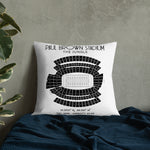 Cincinnati Bengals Football Stadium & City Pillows - Stadium Prints