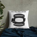 Cincinnati Bengals Football Stadium & City Pillows - Stadium Prints