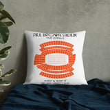 Cincinnati Bengals Football Stadium & City Pillows - Stadium Prints