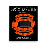 Cincinnati Bengals Paul Brown Stadium The Jungle Poster Print - Stadium Prints