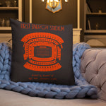 Cleveland Browns Football Stadium & City Pillows - Stadium Prints