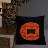 Denver Broncos Football Stadium & City Pillows - Stadium Prints