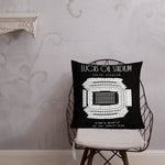 Indianapolis Colts Football Stadium & City Pillows - Stadium Prints