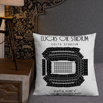 Indianapolis Colts Football Stadium & City Pillows - Stadium Prints