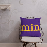 Minnesota Vikings Football Stadium & City Pillows - Stadium Prints