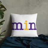 Minnesota Vikings Football Stadium & City Pillows - Stadium Prints