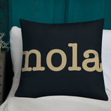 New Orleans Saints Football Stadium & City Pillows - Stadium Prints