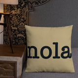 New Orleans Saints Football Stadium & City Pillows - Stadium Prints