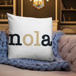 New Orleans Saints Football Stadium & City Pillows - Stadium Prints