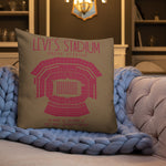 San Francisco 49ers Football Stadium & City Pillows - Stadium Prints