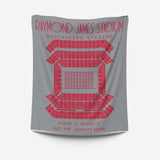 Pro Football Stadium Fleece Blankets - Stadium Prints