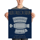 Georgia Southern University Allen E Paulson Stadium Poster Print - Stadium Prints