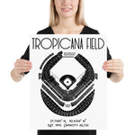 Tampa Bay Rays Tropicana Field Stadium Poster Print - Stadium Prints