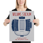 Liberty University Football Williams Stadium Poster Print - Stadium Prints