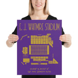 Western Carolina Football E.J. Whitmire Stadium - Stadium Prints