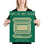 University Southern Florida Bulls Football Raymond James Stadium Poster Print - Stadium Prints